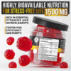 Sleep Support Ashwagandha Gummies Supplement