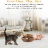Foldable Magnetic Cat Scratching Board